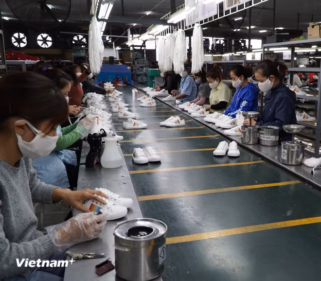 Doanh nghiệp da giày đầu tư công nghệ, thúc đẩy xuất khẩu. (Ảnh: Đức Duy/Vietnam+)