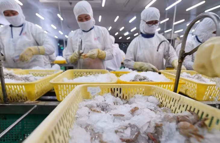 Tôm và cá tra tiếp tục dẫn đầu trong xuất khẩu thủy sản quý I. Ảnh: Hoàng Hà.