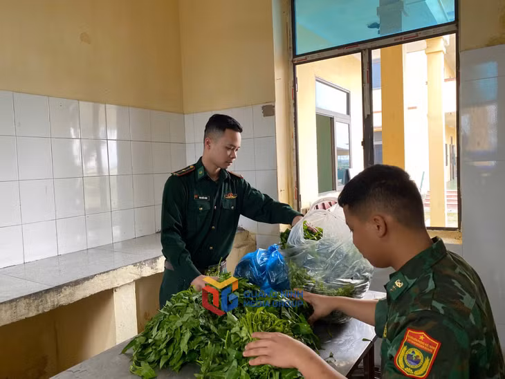 Thiếu úy Mai Quốc Quân, nhân viên quản lý bếp ăn của Tiểu đoàn huấn luyện, BĐBP Quảng Ninh kiểm tra chất lượng rau xanh.