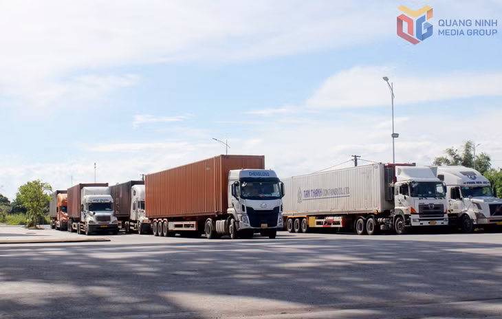 Thương mại, XNK có nhiều khởi sắc.