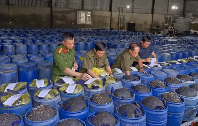 Hàng tấn giá đỗ ngâm hóa chất bị lực lượng chức năng thu giữ. Ảnh: Công an cung cấp