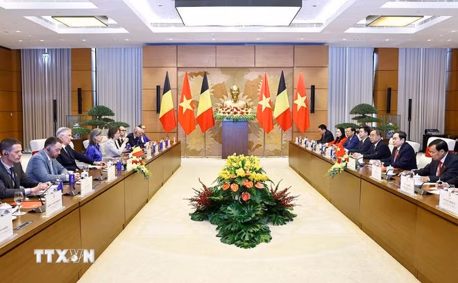 Chủ tịch Quốc hội Trần Thanh Mẫn hội kiến Nhà Vua Vương quốc Bỉ Philippe. (Ảnh: Doãn Tấn/TTXVN)