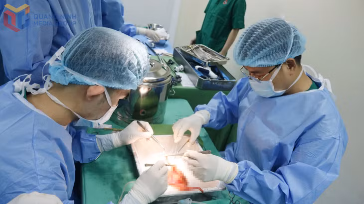Thận sau khi được lấy khỏi cơ thể người hiến.