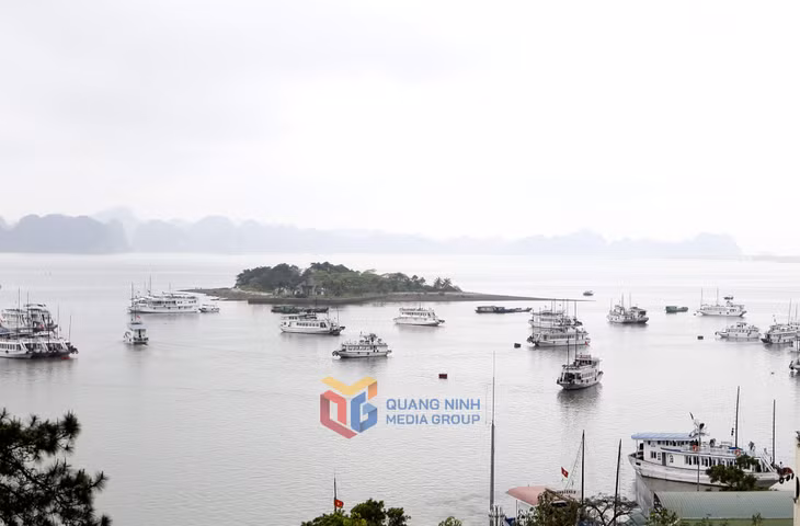 Khu vực Đảo Rều của TP Hạ Long năm 2008.