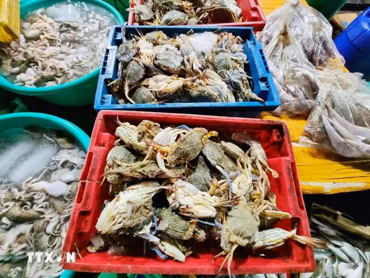 Việt Nam được đánh giá là thị trường tiềm năng cho các sản phẩm hải sản cao cấp của Anh. (Ảnh: Nguyễn Thành/TTXVN)
