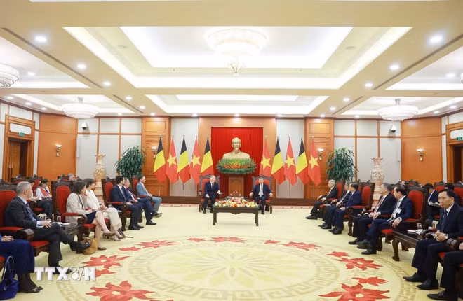 Tổng Bí thư Tô Lâm hội kiến Nhà Vua Bỉ Philippe. (Ảnh: Thống Nhất/TTXVN)