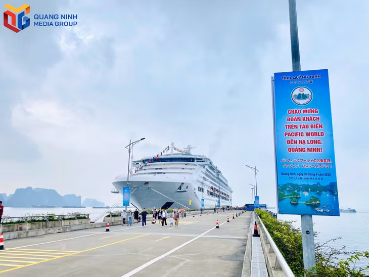 Tàu biển Pacific World do Công ty Peace Boat (Nhật Bản) quản lý điều hành lần đầu tiên đến Quảng Ninh. 