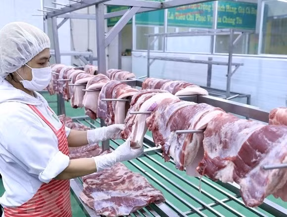 Nhập khẩu thịt không ảnh hưởng giá lợn trong nước - Ảnh 1.