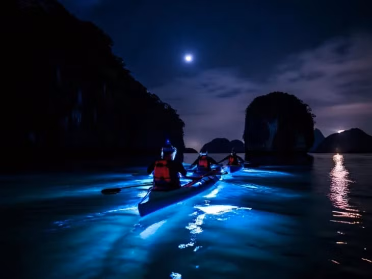Nhiều du khách ví cảnh tượng trải nghiệm như trong phim Avatar. Ảnh: Full Moon Travel Asia, Get Your Guide.