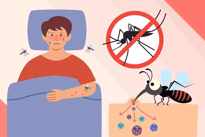 Dù tiện dụng và hiệu quả, nhưng các sản phẩm chống muỗi cần được dùng đúng cách và liều lượng. Ảnh: Cao Thơm