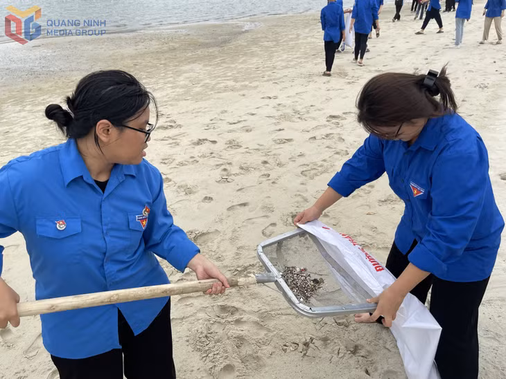 Đoàn viên TP Hạ Long tích cực tham gia chiến dịch làm sạch môi trường biển.