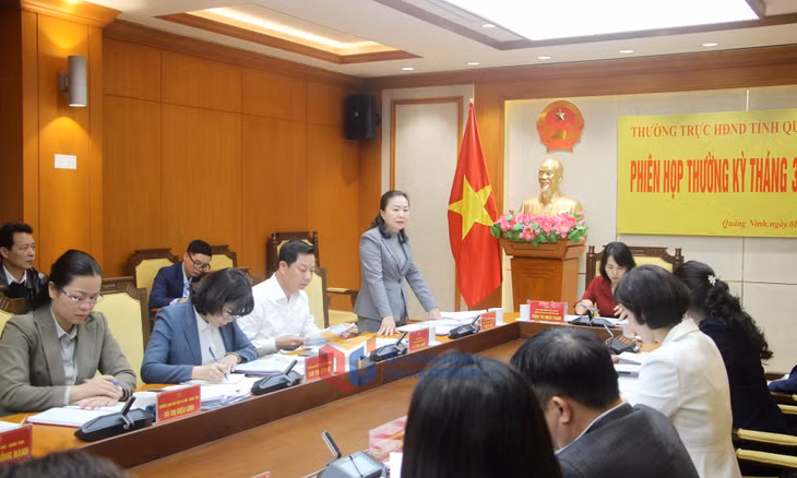 Đồng chí Vi Ngọc Bích, Phó Chủ tịch Thường trực HĐND tỉnh, phát biểu tại phiên họp.
