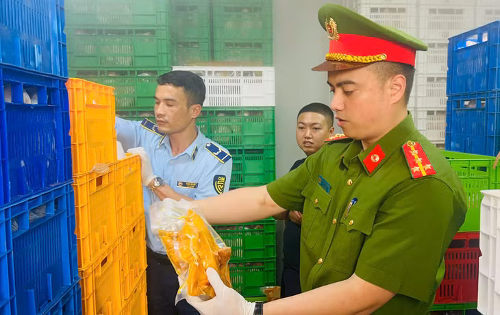 Cơ quan chức năng kiểm tra kho đông lạnh. Ảnh: B.N.