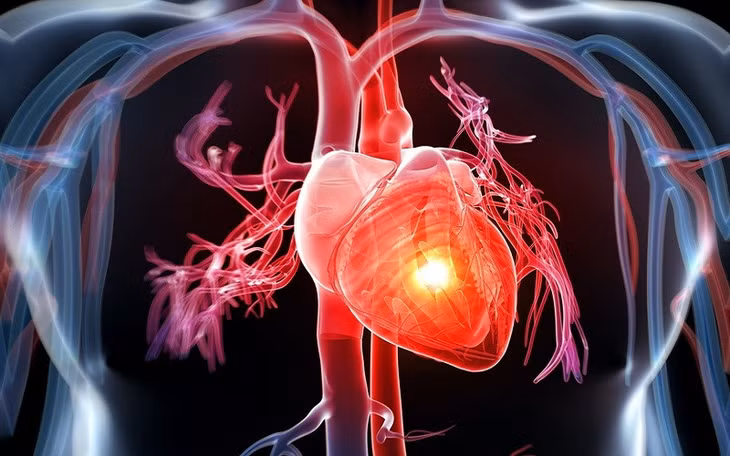Lối sống ít vận động cùng với chế độ ăn uống nhiều chất béo là một trong những nguyên nhân gây ra bệnh tim mạch.