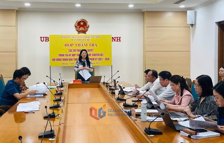 Trưởng Ban Pháp chế HĐND tỉnh Phạm Thị Hồng Hạnh chủ trì cuộc họp thẩm tra.