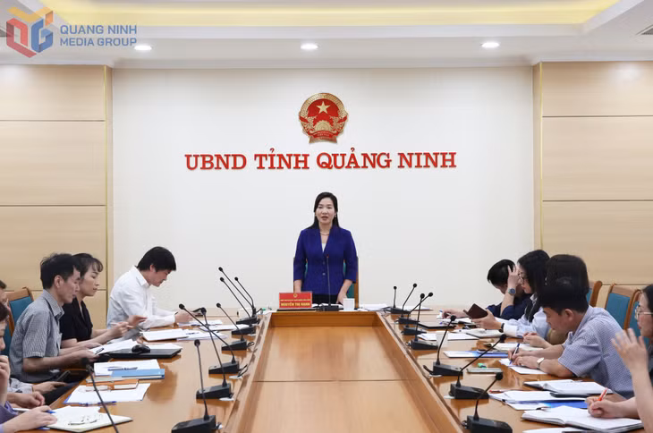 Đồng chí Nguyễn Thị Hạnh, Phó Chủ tịch UBND tỉnh, phát biểu chỉ đạo tại cuộc họp.