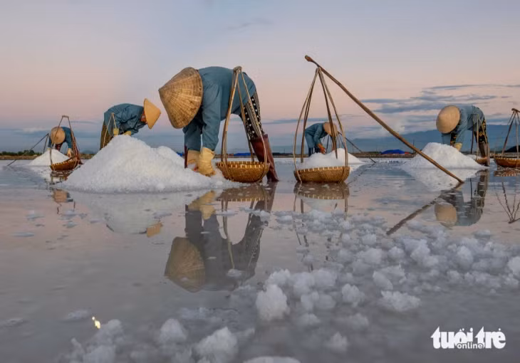 Người làm muối phần lớn là phụ nữ địa phương.