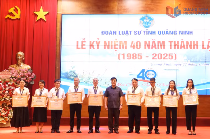 Đồng Lê Văn Ánh, Phó Chủ tịch UBND tỉnh 