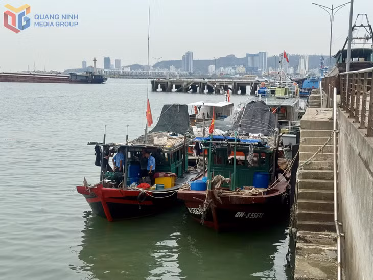 Tàu cá biển kiểm soát QN- 3556 và QN -3407 vừa bị lực lượng chức năng của tỉnh phát hiện, xử lý về hành vi sử dụng nghề cấm khai thác thủy sản.