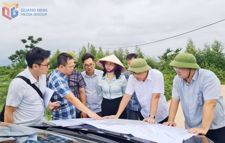 Đồng chí Phó Chủ tịch HĐND tỉnh cùng đoàn đi khảo sát, nắm tình hình triển khai tiến độ công tác GPMB Dự án Khu đô thị phức hợp Hạ Long Xanh, phường Hà An.