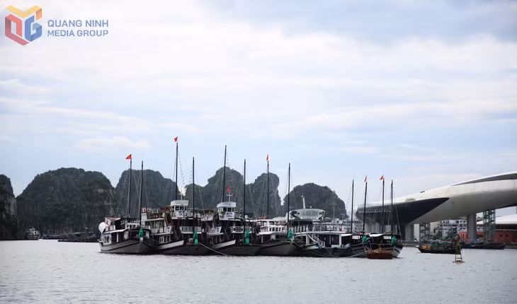 Các tàu du lịch cũng chủ động dừng đón khách, nhanh chóng quay về nơi neo đậu an toàn.