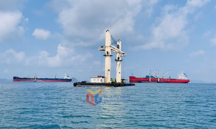 Tổng công suất khai thác khu neo đậu chuyển tải tại khu vực cảng Con Ong - Hòn Nét đạt khoảng 76,64 triệu tấn/năm. Ảnh: Mạnh Trường
