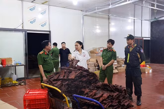 Hàng chục tấn thịt trâu, thịt lợn tươi và thịt sấy khô thành phẩm không đảm bảo vệ sinh an toàn thực phẩm của Công ty TNHH MTV MQ Food chuẩn bị được tuồn ra thị trường. Ảnh: CACC