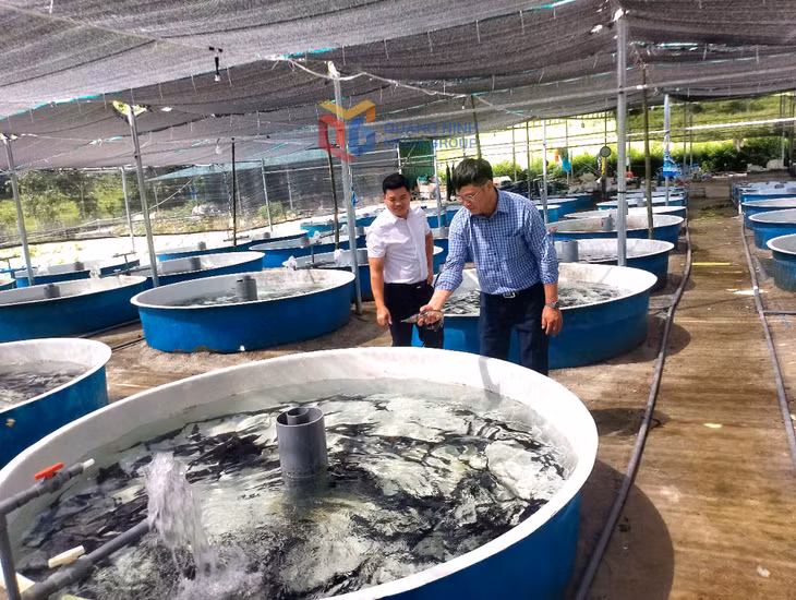 Dòng nước mát lạnh, đã giúp HTX Cá tầm bản Siềng Lồng hoạt động rất hiệu quả.
