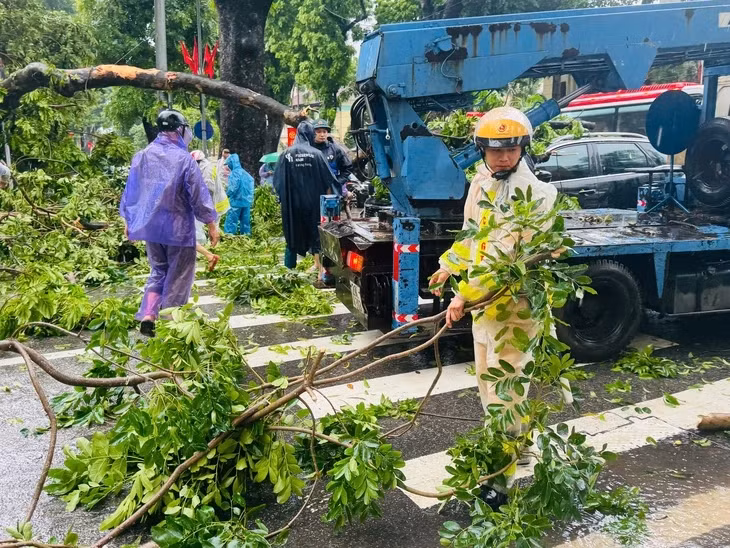 Cảnh sát giao thông cùng các lực lượng dọn dẹp hiện trường vụ cây đổ - Ảnh: THIÊN KHÔI