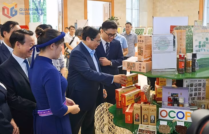 Miến dong Bình Liêu - sản phẩm OCOP 5 sao của Quảng Ninh được lựa chọn tham gia trưng bày tại Hội nghị tổng kết chương trình xây dựng NTM. Ảnh: Minh Đức