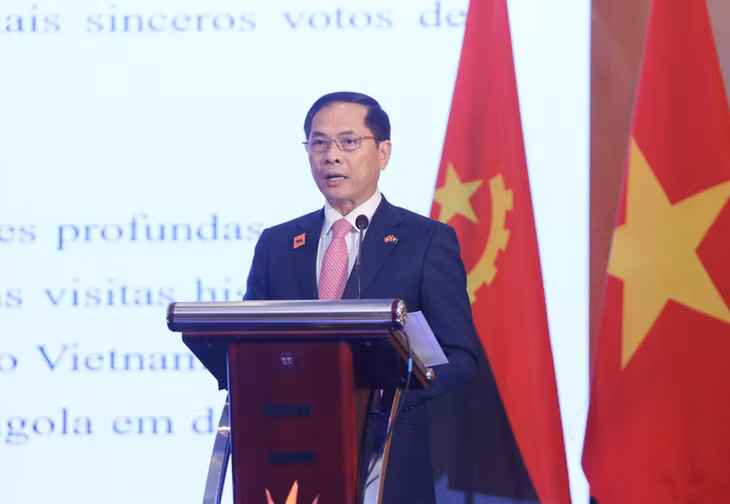 Phó Thủ tướng, Bộ trưởng Ngoại giao Bùi Thanh Sơn phát biểu chúc mừng kỷ niệm 50 năm thiết lập quan hệ ngoại giao Việt Nam-Angola. (Ảnh: TTXVN)
