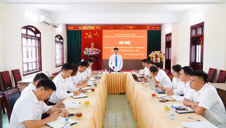 Ban Chấp hành Đảng bộ Công ty họp triển khai nhiệm vụ hằng tháng, lãnh đạo, chỉ đạo thực hiện nhiệm vụ sản xuất, kinh doanh, thực hiện Quy chế dân chủ ở cơ sở.