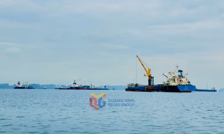 Hoạt động bốc xúc hàng hóa tại Khu vực cảng Con Ong - Hòn Nét. Ảnh: Mạnh Trường