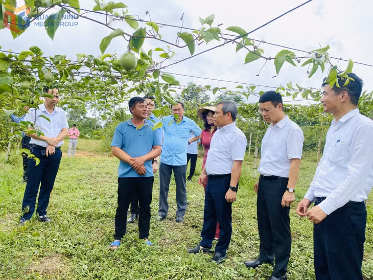 Đồng chí Vũ Đại Thắng, Ủy viên Trung ương Đảng, Bí thư Tỉnh ủy, Trưởng Đoàn ĐBQH tỉnh, kiểm tra tại xã Đầm Hà sau hơn 1 tháng vận hành chính quyền địa phương 2 cấp.