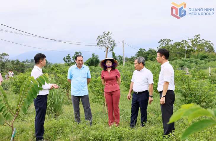 Đồng chí Vũ Đại Thắng, Ủy viên Trung ương Đảng, Bí thư Tỉnh ủy, Trưởng Đoàn ĐBQH tỉnh kiểm tra mô hình trồng cây na tại xã Đầm Hà.