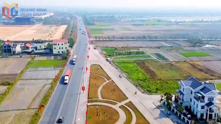 Phường Hoàng Quế mới sau sáp nhập hội tụ các yếu tố truyền thống, lợi thế để phát triển đa dạng.