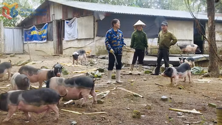 Mô hình Chăn nuôi lợn Móng Cái tại HTX Hữu cơ An Lộc, xã Hải Ninh giúp các hội viên nông dân nâng cao đời sống kinh tế. 