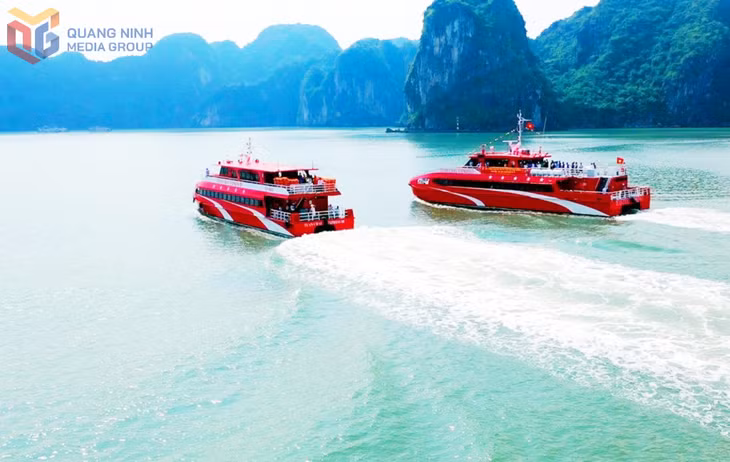 Havaco cùng nhiều hãng tàu khác sử dụng tàu 2 thân đảm bảo nhanh, an toàn cho các chuyến đi du lịch biển đảo.