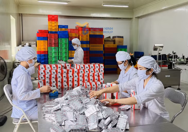 Sản xuất thuốc tại Công CP Dược và vật tư y tế Quảng Ninh.