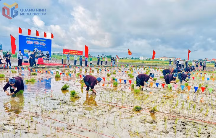 Người dân tham gia lễ hội Xuống đồng năm 2025. 