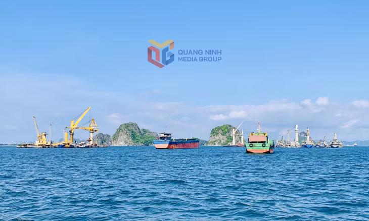 Các tàu làm hàng tại khu vực cảng Con Ong - Hòn Nét (TP Cẩm Phả). Ảnh: Mạnh Trường
