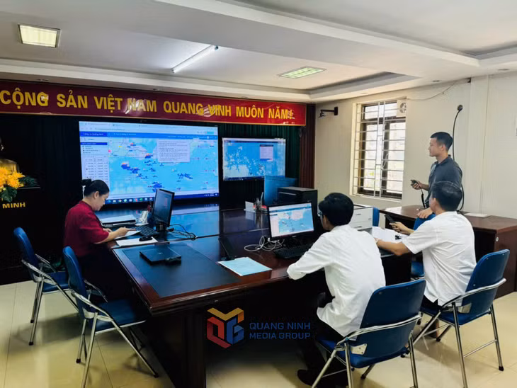 Cảng vụ Đường thủy nội địa và đăng kiểm phương tiện thủy nội địa tỉnh rà soát các điểm tránh trú bão và giám sát hành trình của các tàu du lịch trên vịnh Hạ Long.
