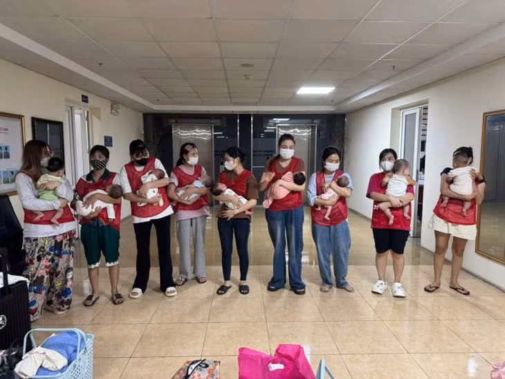 Các trẻ sơ sinh trong đường dây được giải cứu - Ảnh: Công an cung cấp