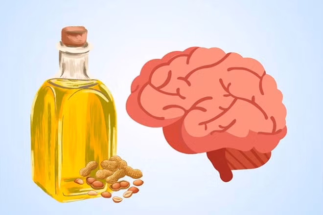 Lợi ích của dầu lạc đối với não bộ. Đồ họa: Thiện Nhân