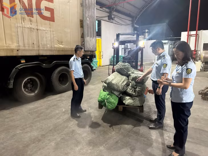 Đội QLTT số 1 (Chi cục QLTT tỉnh) bắt giữ hơn 12 tấn chân gà không rõ nguồn gốc, xuất xứ (tháng 6/2025).