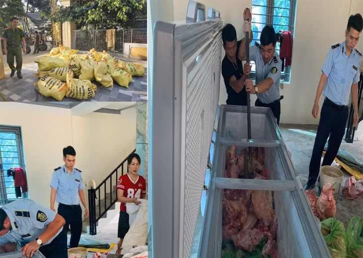 Lực lượng chức năng kiểm tra, phát hiện và thu giữ số tang vật thịt lợn nhiễm bệnh. Ảnh: Công an Thanh Hóa
