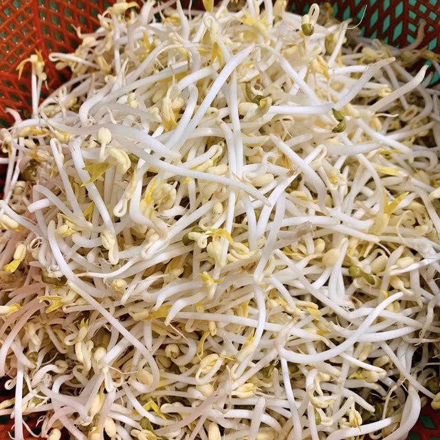 Nên lựa chọn loại giá đỗ được trồng tự nhiên, không ngâm hóa chất kích thích tăng trưởng để đảm bảo sức khỏe.