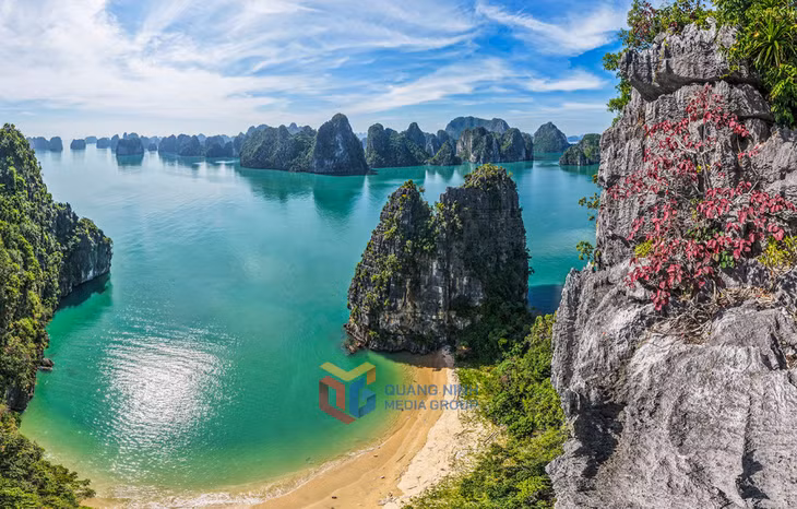 Vịnh Hạ Long luôn là điểm đến hấp dẫn của du khách. Ảnh: Đỗ Giang