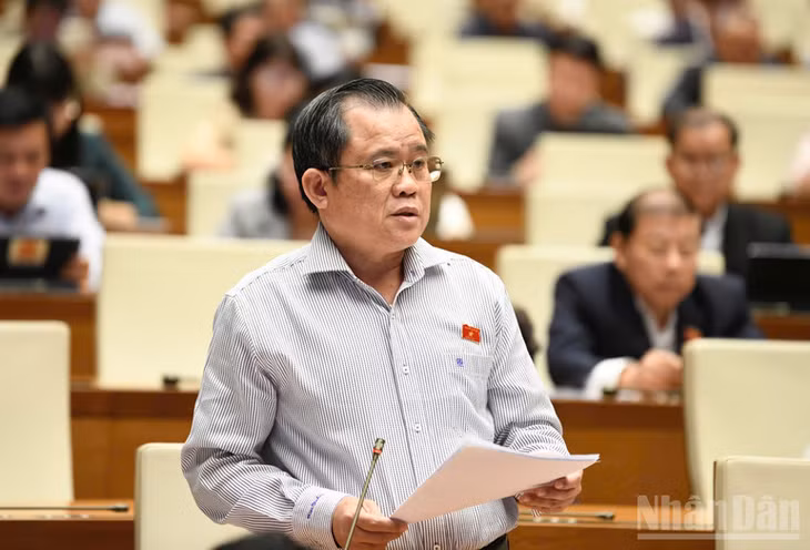 Đại biểu Nguyễn Tâm Hùng (Thành phố Hồ Chí Minh) phát biểu. (Ảnh: DUY LINH)
