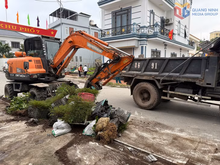Các phương tiện bốc xúc đất đá, rác thải để vận chuyển xử lý.